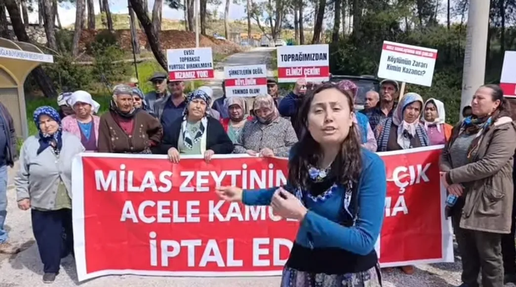 Akbelen’de gerçek ortaya çıktı! Hakimi tehdit eden protestocu tutuklandı Akbelen’de gerçek ortaya çıktı! Hakimi tehdit eden protestocu tutuklandı