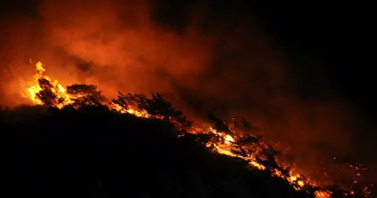 Muğla Datça’da orman yangını