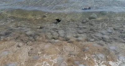 Mersin’de korkutan görüntü: Buna rağmen denize girdiler!