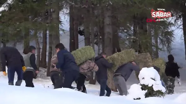 Karlı yolları aşıp, hayvanlar için doğaya yem bıraktılar | Video