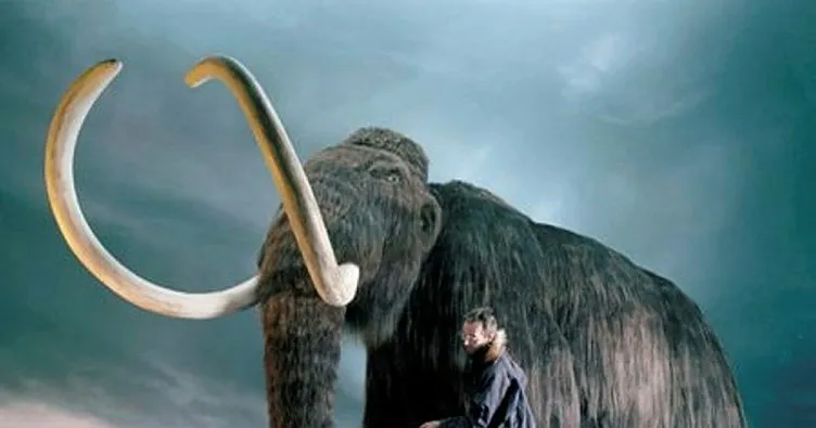 Meksika’da 15 bin yıllık mamut tuzakları bulundu