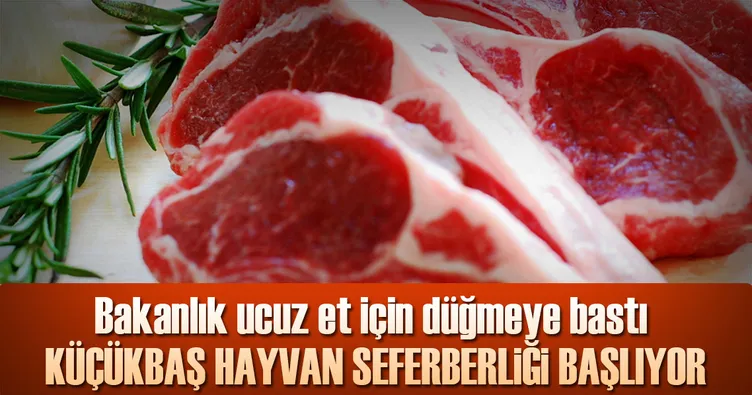 Küçükbaş hayvan seferberliği