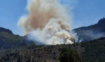 Adana Pozantı orman yangını son dakika gelişmeleri! Adana orman yangınına müdahale başladı, son durum ne?