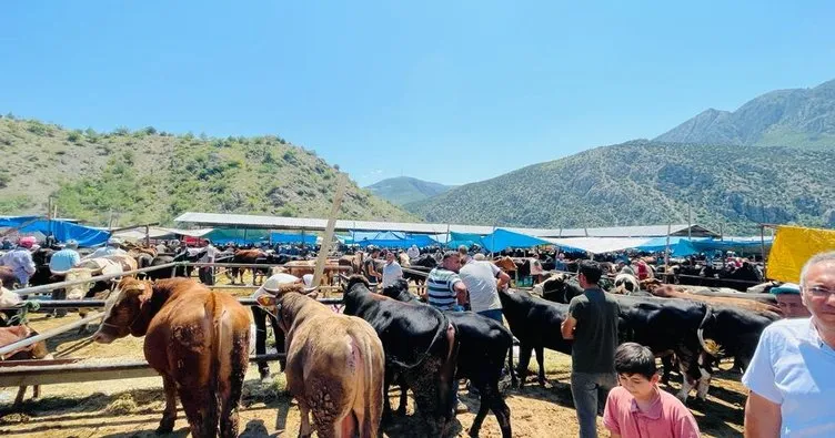 Amasya’daki modern hayvan pazarında yoğunluk