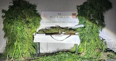 Düzce’de düzenlenen uyuşturucu operasyonunda 1 kişi gözaltına alındı #duzce