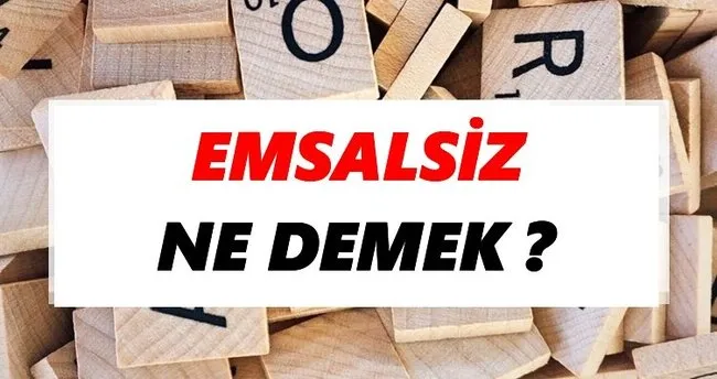 Emsalsiz Ne Demek? TDK’ya Göre Emsalsiz Sözlük Anlamı Nedir?