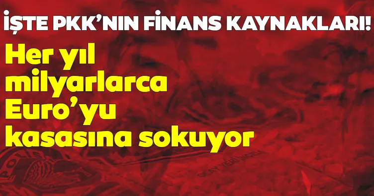 İşte PKK/YPG’nin finans kaynakları! Her yıl milyarlarca Euro’yu kasasına böyle sokuyor