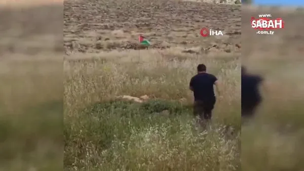 Batı Şeria’da Filistin bayrağını tekmeleyen İsrailli, bubi tuzağına yakalandı | Video