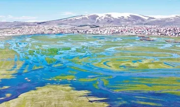 Kura Nehri’nde büyülü bahar #ardahan