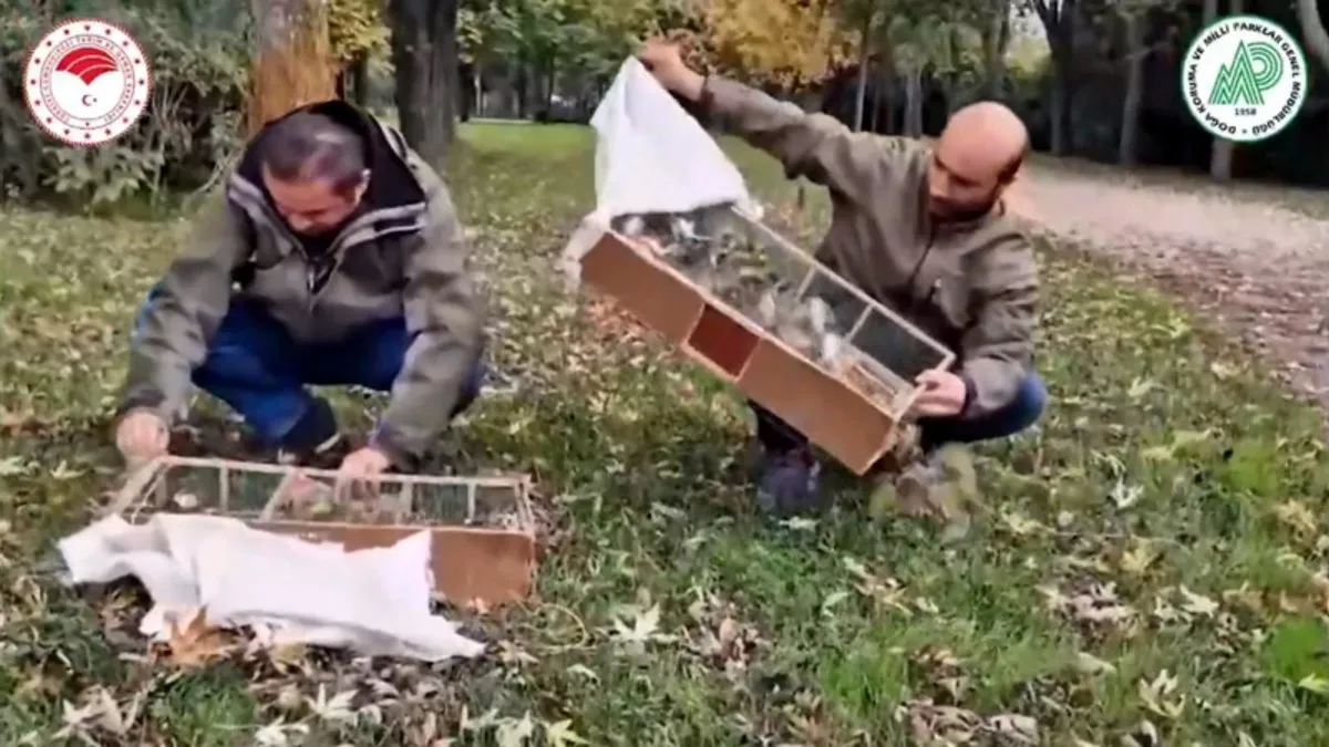 Bursa’da saka kuşu ticareti: 2.5 milyon lira ceza kesildi! Bursa’da saka kuşu ticareti: 2.5 milyon lira ceza kesildi!