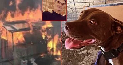 Şila isimli köpeği yakarak öldürdü! Katil Ömer Faruk Baki’nin cezası belli oldu!