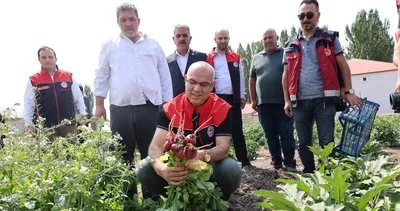 Ağrı'da sebze yetiştiriciliği projesiyle 14 bin ton verim bekleniyor #agri