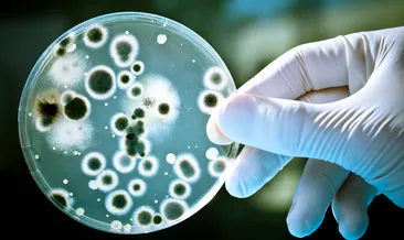 Bakteri yiyip sağlıklı kalmak