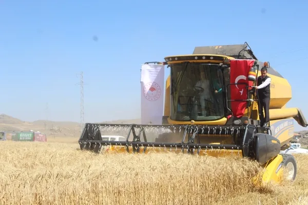 nevsehirde-bugday-hasadi-yapildi-1689345205330.jpg