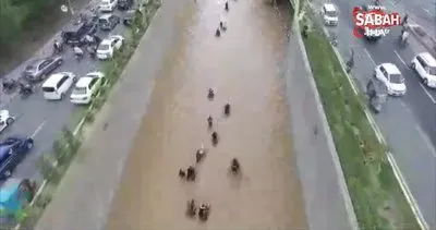 Pakistan’da şiddetli yağış: 13 ölü | Video