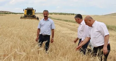 Adıyaman’da arpa hasadı başladı