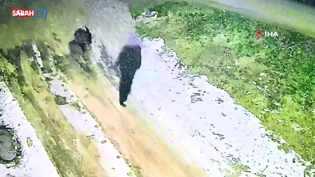 Diyarbakır’da kaybolan 2 çocuk annesi kadının son görüntüsü ortaya çıktı | Video videosunu izle Diyarbakır’da kaybolan 2 çocuk annesi kadının son görüntüsü ortaya çıktı | Video videosunu izle