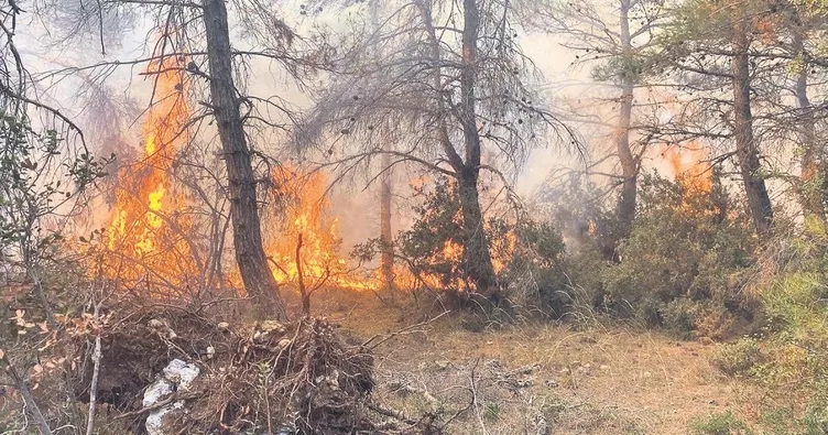 Yangın riskine karşı ormana giriş yok
