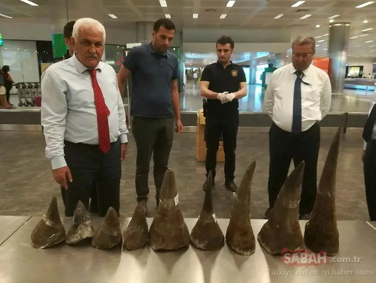 Atatürk Havalimanı’nda gergedan boynuzu kaçakçıları yakalandı