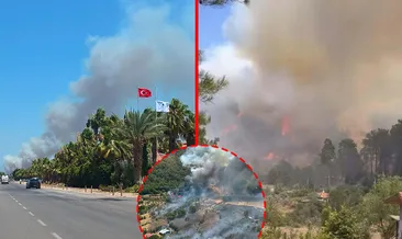 SON DAKİKA… 4 ilde korkutan orman yangını! Alevlere havadan ve karadan müdahale sürüyor #afyonkarahisar