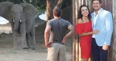 Multi milyoner iş insanı filin ayakları altında can verdi: 6 tonluk filin saldırısı ölümle sonuçlandı