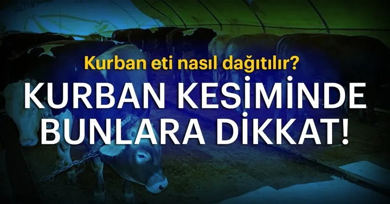 kurban nasil kesilir kurban eti nasil