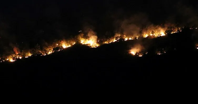 Bulgaristan’da yangın felaketi: Alevler Edirne sınırına dayandı