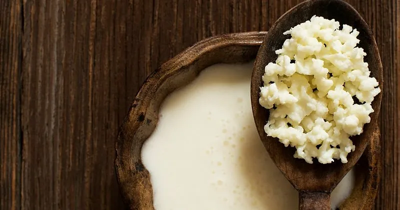 kefir ne ise yarar ne zaman icilir iste kefirin faydalari saglik haberleri