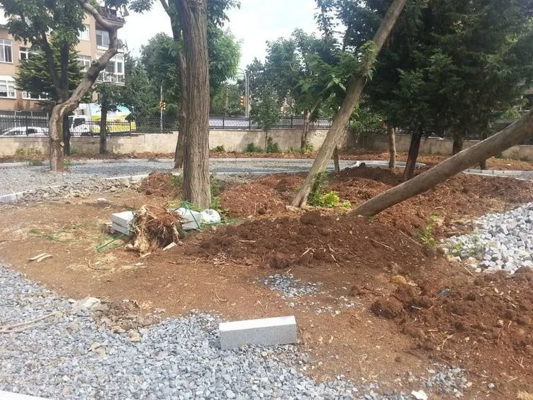 Bakırköy’de ağaçlar kesildi