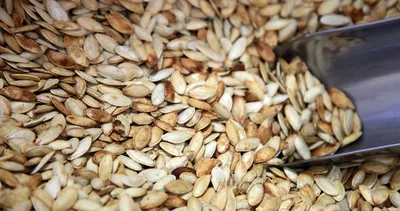 Her öğünde 2 avuç yediğinizde göbeğinizi dümdüz yapıyor! İşte diyetisyenlerin listesinden eksik etmediği besin