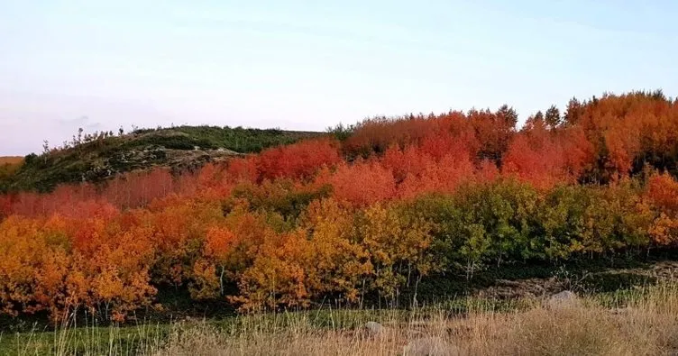 Yeryüzü cenneti Nemrut Krater Gölü sonbahar renklerine büründü