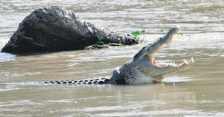 Timsah saldırısına uğrayan kadın öldü