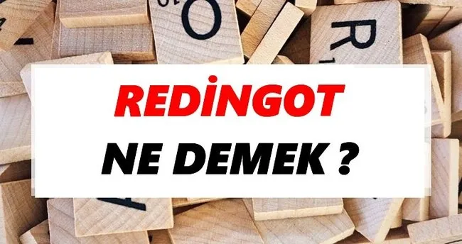 Redingot Ne Demek? TDK’ya Göre Redingot Sözlük Anlamı Nedir?