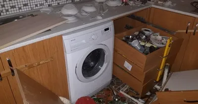 Ayılar yayla evlerini talan etti