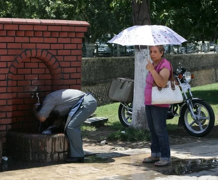 Sıcak hava tüm canlıları bunalttı