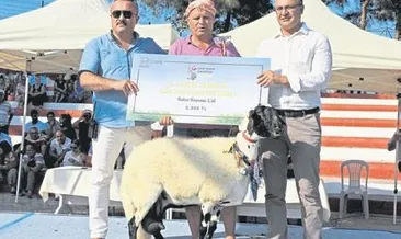 Çeşme’de güzeller geçidi