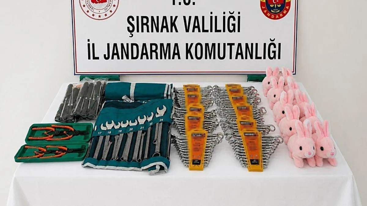 Şırnak'ta jandarma ekiplerince el konulan kaçak ürünler