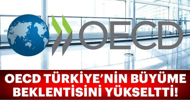 OECD Türkiye’nin 2018 büyüme beklentisini yükseltti!