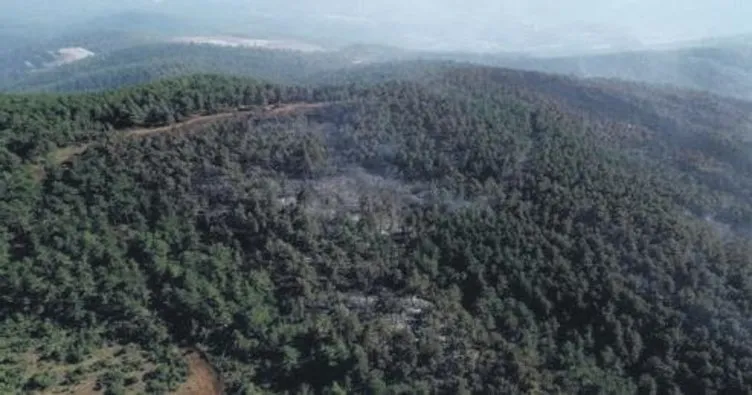 30 hektarlık ciğerimiz yandı