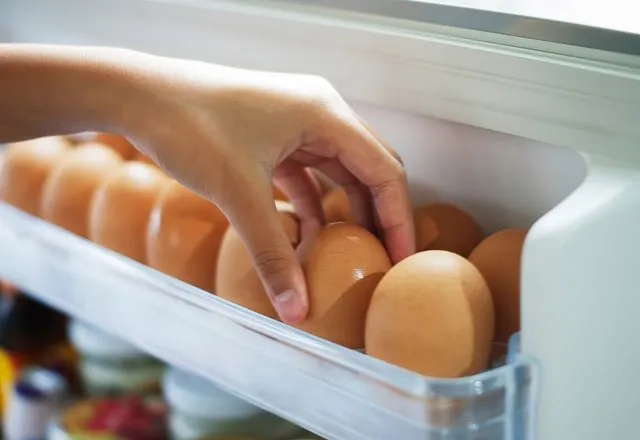 Yumurtaları buzdolabı kapağına koymayın!