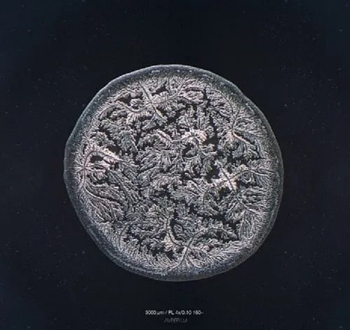 Mikroskobik Ortamda Gözyaşını Fotoğrafladı, Eşsiz Görüntüler Ortaya Çıktı