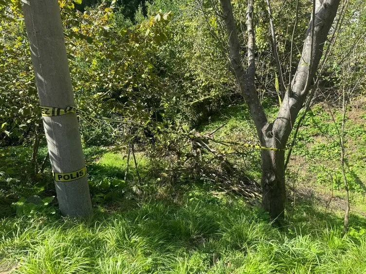 Zonguldak’ta kan donduran olay: Yaşlı kadını domuz zannederek öldürdü!