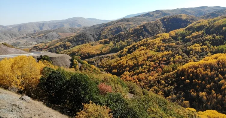 Erzincan’da sonbaharda renk cümbüşü