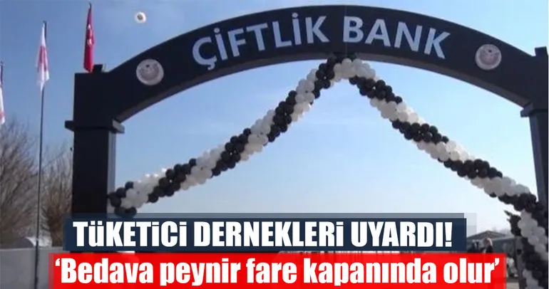 Bedava peynir fare kapanında olur