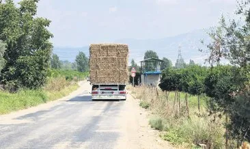 Saman balyası taşıyan kamyonlar kâbus oldu