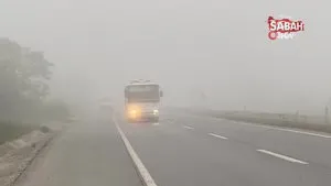 Sakarya güne sisle uyandı: Görüş mesafesi 20 metreye kadar | Video