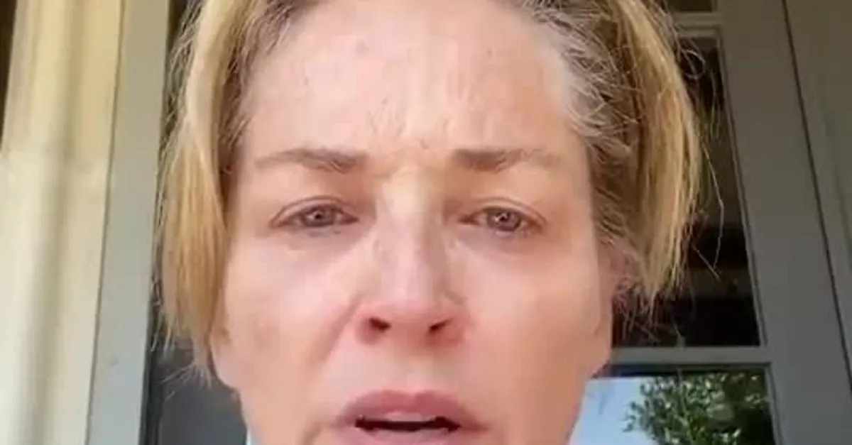 kardesi coronaya yakalanan sharon stone ates puskurdu sizlerden biri yapti video videosunu izle son dakika haberleri
