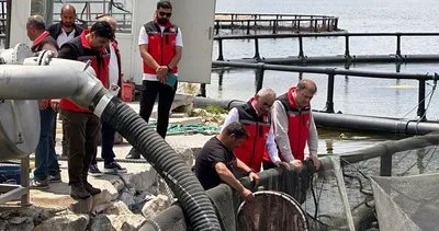 Türk somonu Rusya’ya ihraç edildi #kirsehir