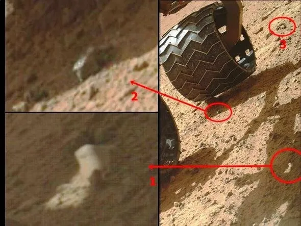 NASA uzaya yolladı, 2 bin gündür dimdik ayakta!