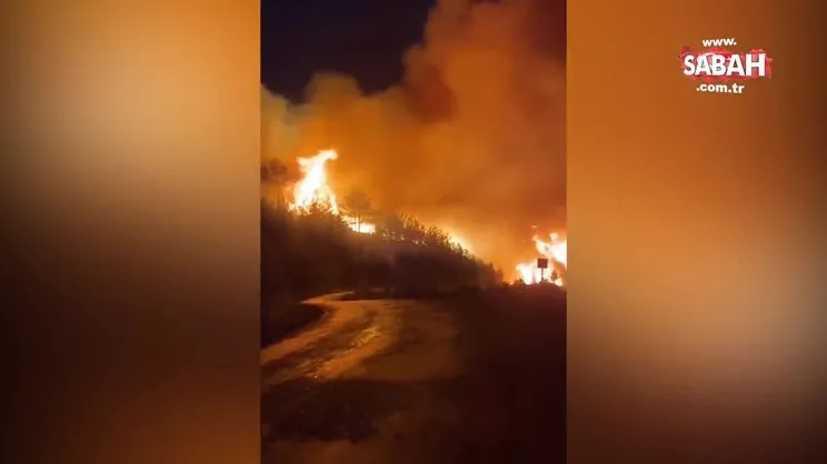 Muğla’da peş peşe orman yangını
